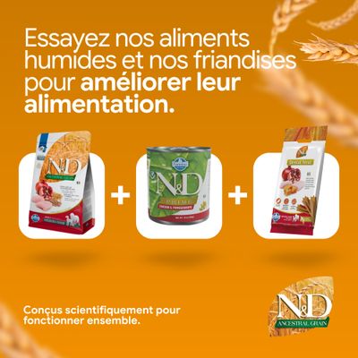 N&D Ancestral Grain Croquettes, N&D Prime Nourriture humide et N&D Dental Friandises. Développés scientifiquement pour agir ensemble. À combiner pour une meilleure alimentation.