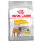 Royal Canin Medium Dermacomfort 2 x 12 kg - Pack Ahorro