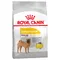 Royal Canin Medium Dermacomfort - dog dry food 12kg