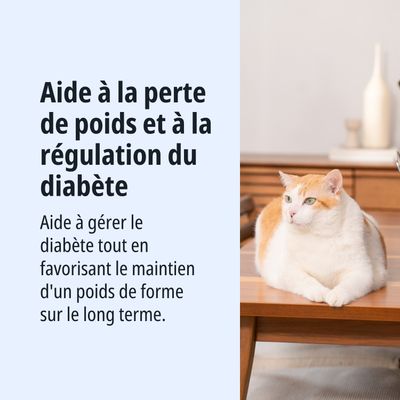 Virbac Veterinary HPM Cat Weight Loss and Control W2 - lot % : 2 x 7 kg 
