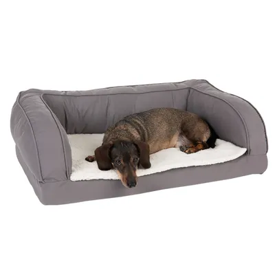 Hund liegt auf einem grauen Hundebett mit weisser Liegefläche.