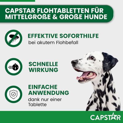 Capstar Flohtabletten für mittelgroße und große Hunde. Effektive Soforthilfe bei akutem Flohbefall, schnelle Wirkung, einfache Anwendung dank nur einer Tablette.