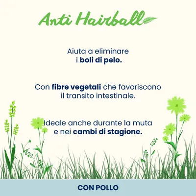 Almo Nature Functional Anti Hairball - 6 x 70 g Manzo