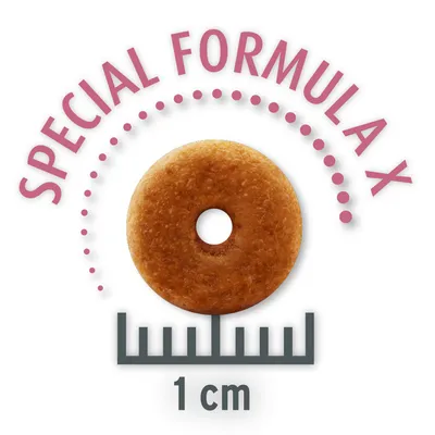 Kroketform med hul, diameter 1 cm. Tekst: Special Formula X.