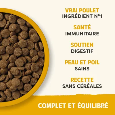 Vrai poulet ingrédient n° 1, santé immunitaire, soutien digestif, peau et fourrure saines, recette sans céréales, complète et équilibrée.