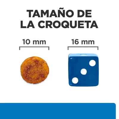 Tamaño de la croqueta: imagen comparativa con una croqueta de 10 mm y un dado azul de 16 mm. Texto visible: 'Tamaño de la croqueta', '10 mm', '16 mm'.