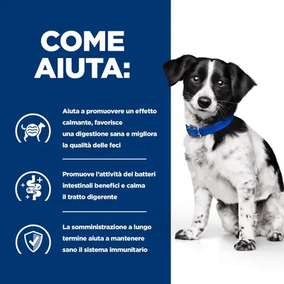COME AIUTA: Aiuta a promuovere un effetto calmante, favorisce una digestione sana e migliora la qualità delle feci. Promuove l’attività dei batteri intestinali benefici e calma il tratto digerente. La somministrazione a lungo termine aiuta a mantenere sano il sistema immunitario.