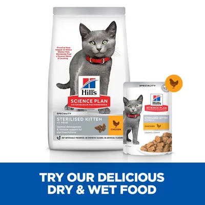 Hill's Science Plan Sterilised Kitten - Csirke 24 x 85 g
