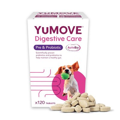YuMOVE Digestive Care Pre & Probiotic, ActivBio, 120 tablets. Scientifically proven prebiotics and probiotics to help maintain a healthy gut. Box with tablets visible.