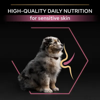 Teksti: HIGH-QUALITY DAILY NUTRITION for sensitive skin. Kuvassa koiranpentu ja graafinen elementti, joka viittaa ihoon tai ravintoon.