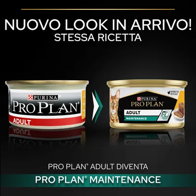 Nuovo look in arrivo! Stessa ricetta. PRO PLAN ADULT diventa PRO PLAN MAINTENANCE. Immagine di due confezioni Purina Pro Plan per gatti, vecchio e nuovo design.