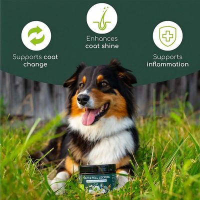 Wolfsbacher Natur Leckerli Skin & Coat Dog Snacks