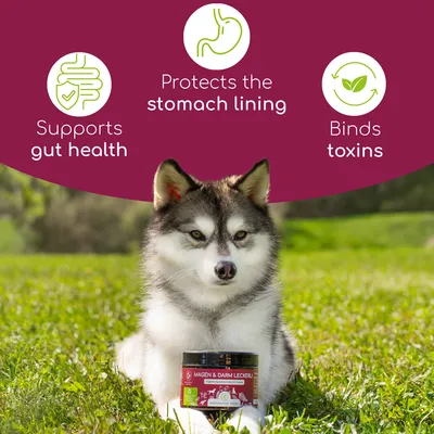 Wolfsbacher Natur Leckerli Stomach & Intestine Dog Snacks - dog supplements - 300g