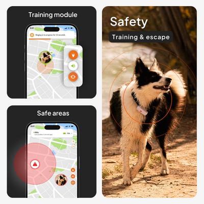 Weenect GPS-tracker XS for hunder - uten halsbånd