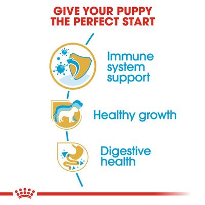 Text: Give your puppy the perfect start. Immune system support, healthy growth, digestive health. Three icons: shield with germs, puppy silhouette, stomach symbol.