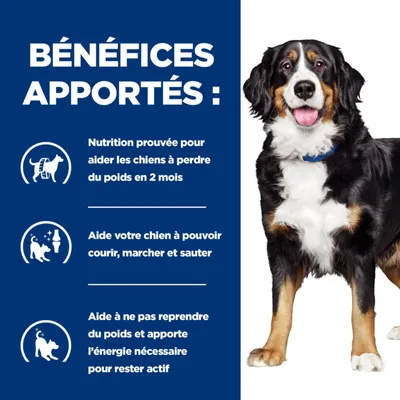 BÉNÉFICES APPORTÉS : Nutrition prouvée pour aider les chiens à perdre du poids en 2 mois, aide à courir, marcher, sauter et à rester actif sans reprendre du poids.