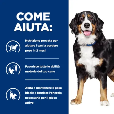 COME AIUTA: Nutrizione provata per aiutare i cani a perdere peso in 2 mesi. Favorisce tutte le abilità motorie del tuo cane. Aiuta a mantenere il peso ideale e fornisce energia per il gioco attivo.