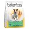 Briantos Adult Mini Agnello & Riso Crocchette per cane 4 x 1 kg