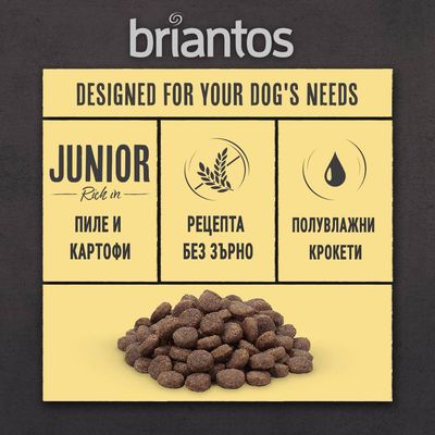 briantos. JUNIOR пиле и картофи, рецепта без зърно, полувлажни крокети. Изображение на кафяви крокети за кучета.