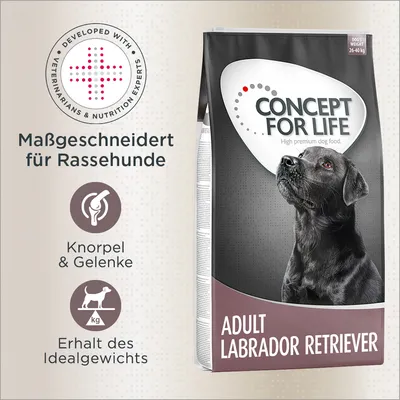 Concept for Life Adult Labrador Retriever, massgeschneidert für Rassehunde. Unterstützt Knorpel & Gelenke, erhält das Idealgewicht. Entwickelt mit Tierärzten und Ernährungsexperten.