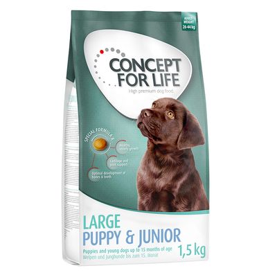 Concept for Life Large Junior pour chien