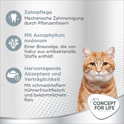 Texte en allemand : Zahnpflege, Mit Ascophyllum nodosum, Hervorragende Akzeptanz und Verträglichkeit. Chat roux et blanc, logo Concept for Life.