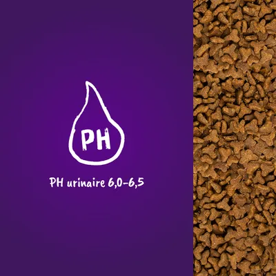 PH urinaire 6,0–6,5 indiqué sur fond violet à côté de croquettes en gros plan