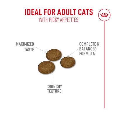 Royal Canin Fussy Exigent - 10 + 2 kg gratis!