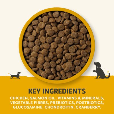 Main ingredients: chicken, salmon oil, vitamins and minerals, plant fibres, prebiotics, postbiotics, glucosamine, chondroitin, cranberries.
