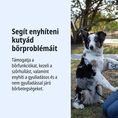 Segít enyhíteni a kutyák bőrproblémáit, támogatja a bőr funkcióit, kezeli a szőrhullást, valamint enyhíti a gyulladásos és nem gyulladásos bőrbetegségeket.