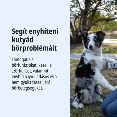 Segít enyhíteni a kutyák bőrproblémáit, támogatja a bőr funkcióit, kezeli a szőrhullást, valamint enyhíti a gyulladásos és nem gyulladásos bőrbetegségeket.