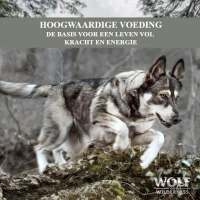 HOOGWAARDIGE VOEDING. DE BASIS VOOR EEN LEVEN VOL KRACHT EN ENERGIE. Wolf of Wilderness.
