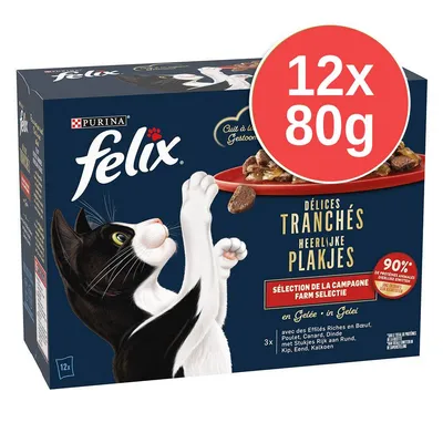 Purina felix Délices Tranchés, 12x80g. Text: 90 % de protéines animales, Sélection de la campagne, en gelée. Ilustrace kočky a talíře s krmivem.