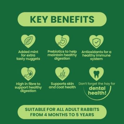 Key benefits: mint, prebiotics, antioxidants, fibre, support for skin and coat, note on hay for dental health. Suitable for adult rabbits from 4 months to 5 years.