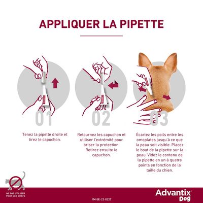 Advantix® chien moyen, de 10 kg à 25 kg - 6 mois de protection (6 pipettes)