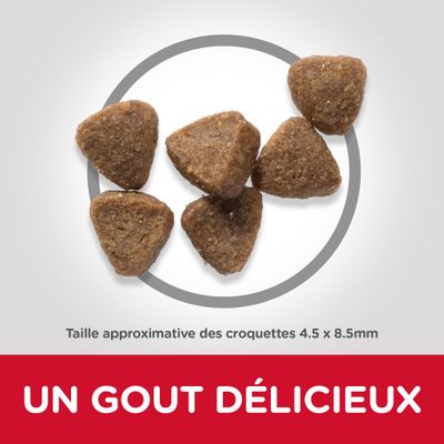 Croquettes triangulaires, taille approximative 4,5 × 8,5 mm. Texte visible : UN GOUT DÉLICIEUX.
