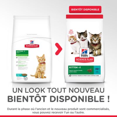Hill’s Science Plan Kitten <1, ancien et nouveau packaging visibles. Texte : « Bientôt disponible ». Durant la phase de transition, vous pouvez recevoir l’un ou l’autre emballage.