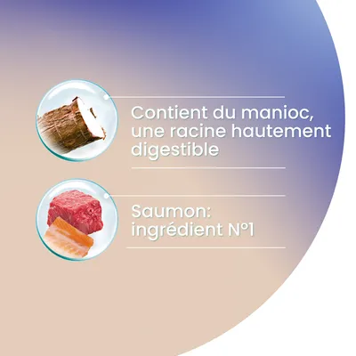 Contient du manioc, une racine hautement digestible. Saumon : ingrédient N°1.