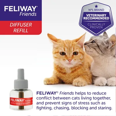Feliway Friends diffuser refill, veterinary recommended, clinically proven to reduce conflict and stress signs like fighting, chasing, blocking and staring between cats living together.