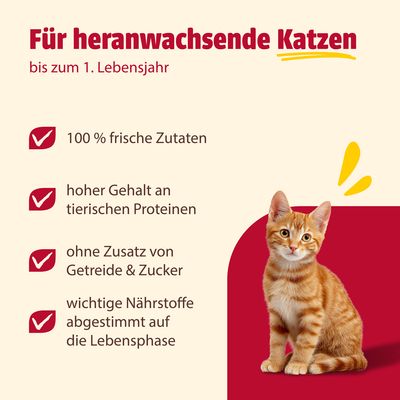 Mix Sparpaket animonda Carny Kitten 12 x 200 g