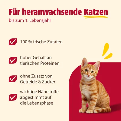 Mix Sparpaket animonda Carny Kitten 12 x 200 g Mix Sparpaket animonda Carny Kitten 12 x 200 g