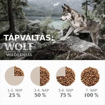 Tápváltás: Wolf of Wilderness. 1–2. nap 25 %, 3–4. nap 50 %, 5–6. nap 75 %, 7. nap 100 % táp mennyiség vizuális diagrammal.