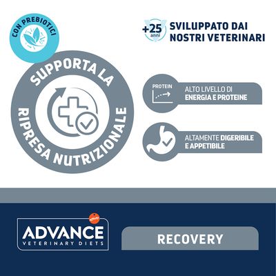 Advance Veterinary Diets Recovery Mini umido per cani e gatti - 22 x 100 g