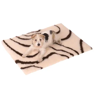 Dog lying on a cream-coloured blanket with brown striped pattern.