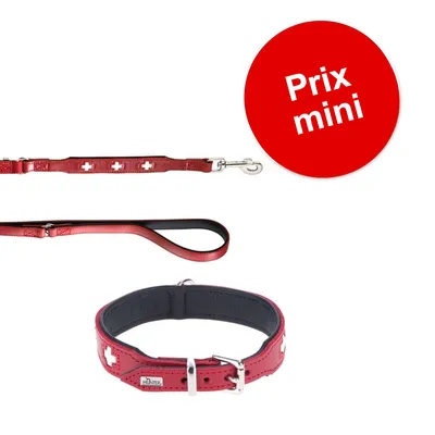 Collier et laisse rouges en cuir avec croix blanches, marque Hunter visible sur le collier. Pastille rouge avec texte : Prix mini.