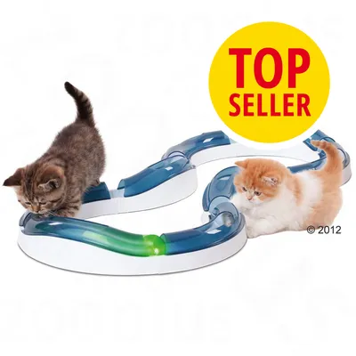 Due gattini giocano con un circuito interattivo per gatti in plastica bianca e blu. Cerchio giallo con testo: TOP SELLER.