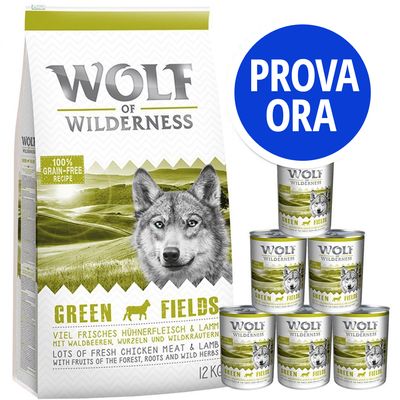 Provalo! Set prova Wolf of Wilderness Adult Mix I