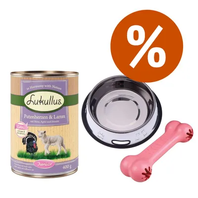 Set con una lattina Lukullus Putenherzen & Lamm 400 g, ciotola in metallo e osso gioco rosa KONG; simbolo percentuale arancione indica offerta o sconto.