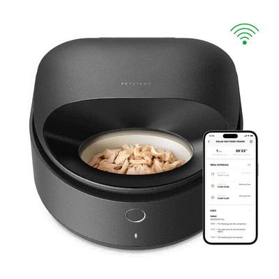 Automatische voerdispenser met natvoer en smartphone-app voor bediening, wifi-symbool rechtsboven zichtbaar.