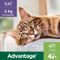 Advantage® 80 pour chat et lapin > 4 kg 4 mois de protection (4 pipettes)